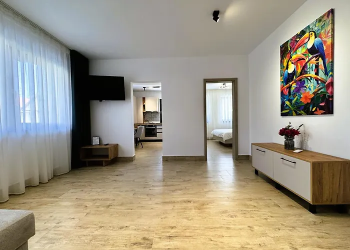 Minani ブラショフ