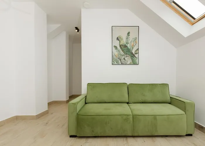 Minani * ブラショフ